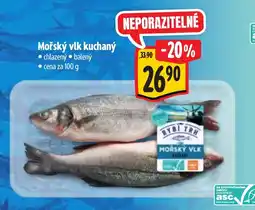 Albert Mořský vlk kuchaný nabídka