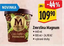 Albert Zmrzlina Magnum nabídka