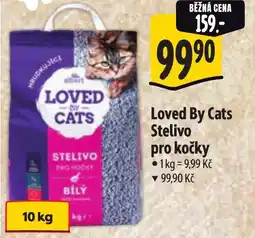 Albert Loved By Cats Stelivo pro kočky nabídka