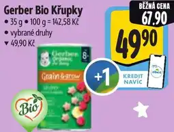 Albert Gerber Bio Křupky nabídka
