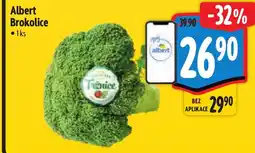 Albert Albert Brokolice nabídka