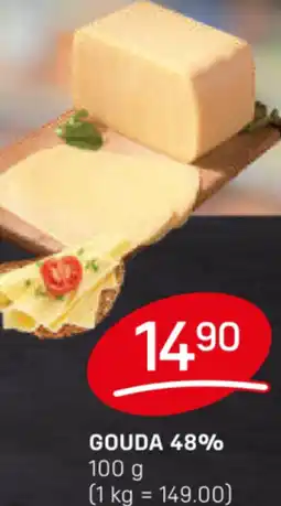 Flop Gouda 48% nabídka