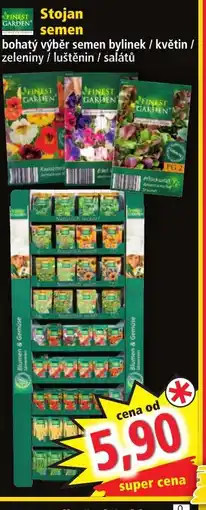 Norma Stojan semen nabídka