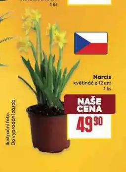 Billa Narcis nabídka