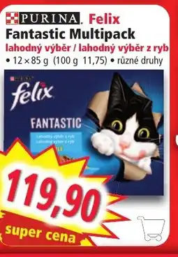 Norma Felix Fantastic Multipack nabídka