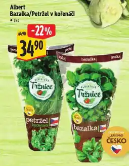 Albert Bazalka nabídka