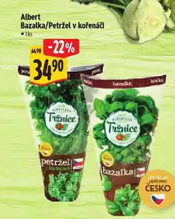 Albert Petržel nabídka