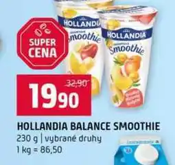Terno HOLLANDIA BALANCE SMOOTHIE 230 g vybrané druhy nabídka