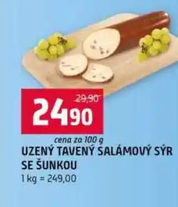 Terno UZENÝ TAVENÝ SALÁMOVÝ SÝR SE ŠUNKOU 100 nabídka