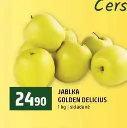 Terno JABLKA GOLDEN DELICIUS 1 kg skládané nabídka