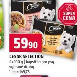 Terno CESAR SELECTION 4x 100 g kapsička pro psy vybrané druhy nabídka