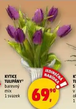 Penny Market KYTICE TULIPÁNY, 1 svazek nabídka