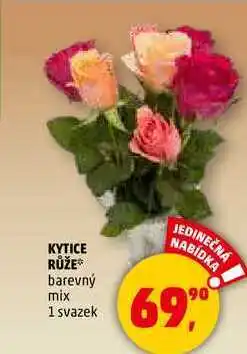 Penny Market KYTICE RŮŽE, 1 svazek nabídka