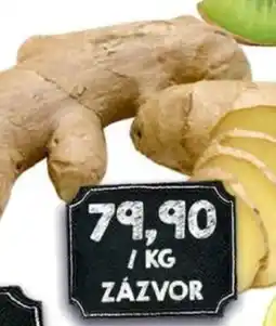 Jip Zázvor nabídka