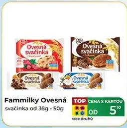 Tamda Foods Fammilky Ovesná svačinka od 36g - 50g nabídka