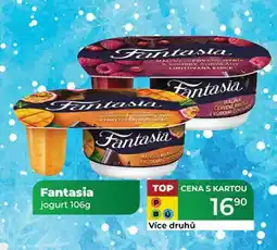 Tamda Foods Fantasia jogurt nabídka