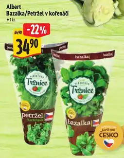 Albert Albert Bazalka/Petržel v kořenáči nabídka