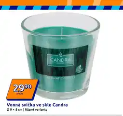 Action Vonná svíčka ve skle Candra nabídka