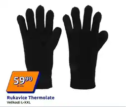 Action Rukavice Thermolate nabídka