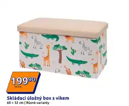 Action Skládací úložný box s víkem nabídka