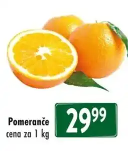 Qanto Pomeranče nabídka