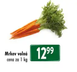 Qanto Mrkev volná nabídka