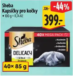 Albert Sheba Kapsičky pro kočky nabídka