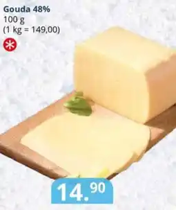 Potraviny CZ Gouda 48% nabídka