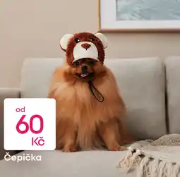 Pepco Čepička nabídka