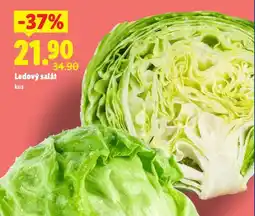 Lidl Ledový salát nabídka