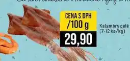 Jip Kalamáry celé (7-12 ks/kg) nabídka