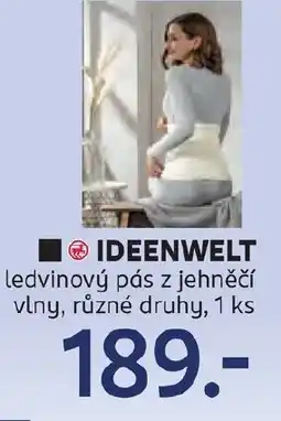 Rossmann IDEENWELT ledvinový pás z jehněčí vlny nabídka