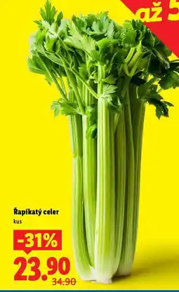 Lidl Řapíkatý celer nabídka