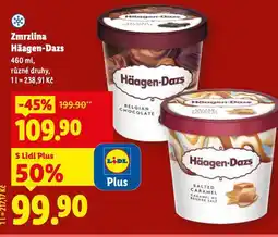 Lidl Zmrzlina haagen-dazs nabídka