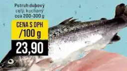 Jip Pstruh duhový nabídka