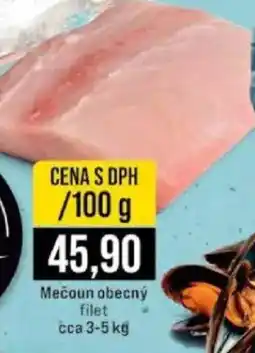 Jip Mecoun obecný filet nabídka