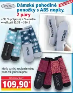 Norma Dámské pohodlné ponožky s ABS nopky nabídka