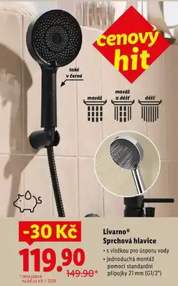 Lidl Livarno Sprchová hlavice nabídka