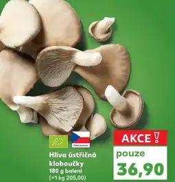 Kaufland Hlíva ústřičná kloboučky nabídka