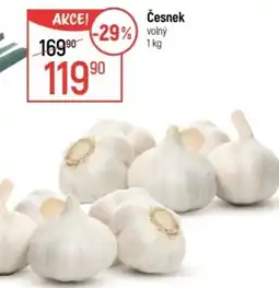 Globus Česnek olný nabídka