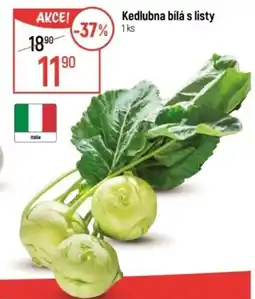 Globus Kedlubna bílá s listy nabídka