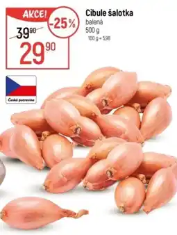 Globus Cibule šalotka balená nabídka