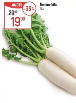 Globus Ředkev bílá nabídka