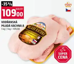 Terno Vodňanská mladá kachna A nabídka