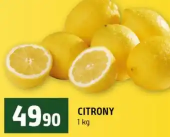 Terno Citrony nabídka