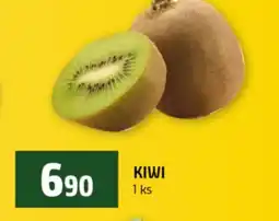 Terno Kiwi nabídka