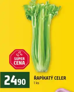 Terno Rapíkaty celer nabídka