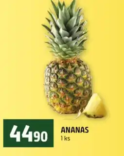 Terno Ananas nabídka