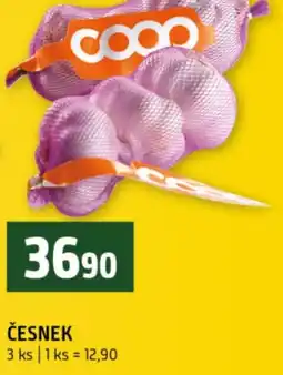 Terno Česnek nabídka