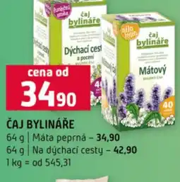 Terno Čaj bylináře nabídka